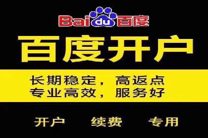 行业领先：竞价SEM托管案例剖析